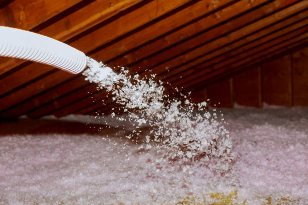 Best Cellulose Insulation in Mccrory, AR