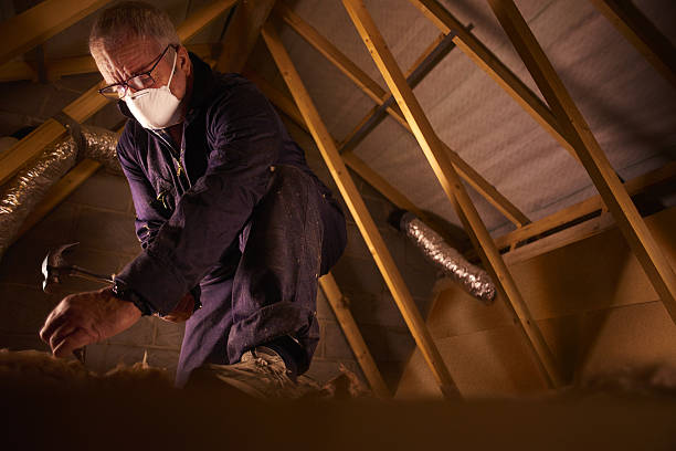Best Residential Insulation in Mccrory, AR